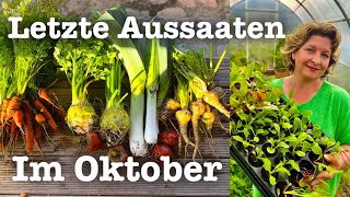 58 Der Garten im Oktober 🍂👩‍🌾 Letzte Pflanzungen Aussaaten und Vorbereitungen für den Winter 🍁 [upl. by Ynohtnacram145]