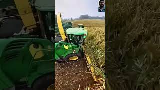 Harvesting Techniques in USA agriculture automobile farminguk agricultureaustralia farming [upl. by Pickard]