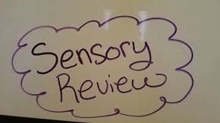 Sensory Review Vestibular and Proprioception [upl. by Halbert236]