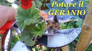 POTARE IL GERANIO [upl. by Nirb]