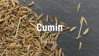 🔵 All About Cumin Spice [upl. by Moreno]