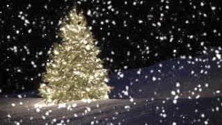 10 Hours SloMo Snow falling on Christmas Tree  Video amp Audio 1080HD SlowTV [upl. by Stanleigh361]