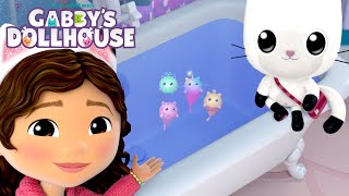 Making New Friends with the itty bitty Kitty Fish 🐠  GABBYS DOLLHOUSE  Netflix [upl. by Ajin]