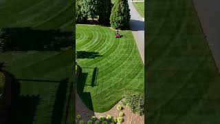 Tall Fescue Single Double Crop Circles lawnstripes gciturf [upl. by Odicalp]