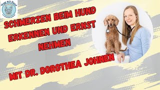 Schmerzen beim Hund erkennen und ernst nehmen Mit Dr Dorothea Johnen [upl. by Ecad]