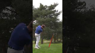 Golfer hits insanely LUCKY shot… golf goviral trending funny lucky [upl. by Johnathon]