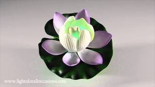 Floating Lotus Lily Pad with Color Changing LEDDemo [upl. by Ettennat326]