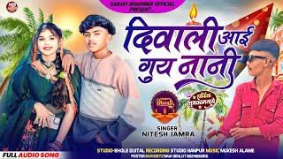 दिवाली आई गुय नानी 🎇 Singer Nitesh jamra amp Viren Mandloi special dipawali songs 2024 aadivasi song [upl. by Blanche]