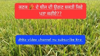 ਕਣਕ 🌾 ਦੇ ਬੀਜ ਦੀ ਉਗਣ ਸਕਤੀ ਕਿਵੇ ਪਤਾ ਕਰੀਏvideo ch dhkochannel nu subscribe krokhati agriculture [upl. by Kerri460]