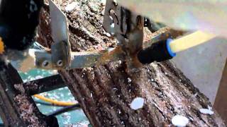 Fullauto inoculating machine of Shiitake mushroom [upl. by Anomar284]