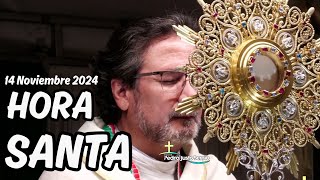 Hora Santa Noviembre 14 de 2024  Padre Pedro Justo Berrío [upl. by La Verne]