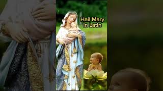 Day 23  Miracle Prayer  October Special  Latin holyrosary avemaria shortsvideo shorts [upl. by Nevarc427]