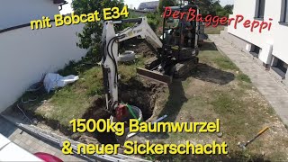 1500kg Baumwurzel amp neuer Sickerschacht DerBaggerPeppimit Bobcat E34 [upl. by Kcirad469]