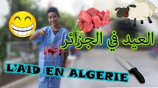 Kebch el 3id  Yasser Virus Podcastlaid el adha en algerie [upl. by Trinl]