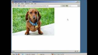 How to Insert an Image in a Webpage HTML  XHTML [upl. by Noicpecnoc156]