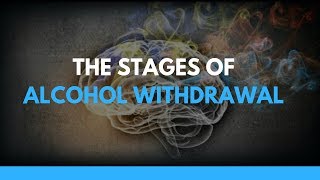 The Stages of Alcohol Withdrawal [upl. by Mcilroy588]