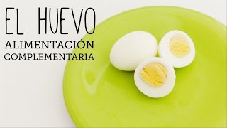 Cuándo puedo dar HUEVO a mi bebé  Alimentación Complementaria [upl. by Cadell]