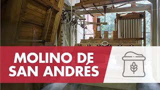 Visita al Molino de San Andrés  Harinera y taller de pan [upl. by Raul681]