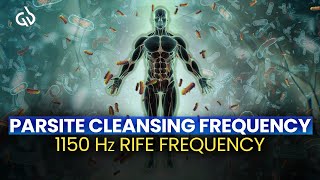 Parasite Frequency Cleanse 1150 Hz Rife Frequency for Parasite Cleansing [upl. by Southard687]