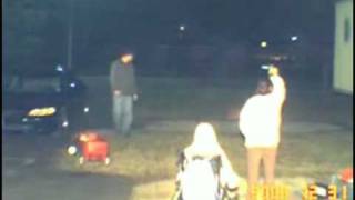 Dog Steals Lit Firework Video [upl. by Tavey]