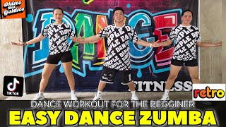 EASY DANCE WORKOUT  ZUMBA DANCE FOR BEGINNERS  NONSTOP DANCE  NONSTOP ZUMBA [upl. by Williamsen]