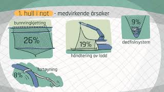 Årsaker til rømming av fisk [upl. by Modnarb660]