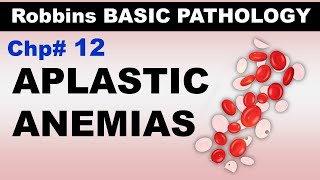 Ch12  Aplastic Anemias  Blood Pathology  Dr Asif Lectures [upl. by Lan]