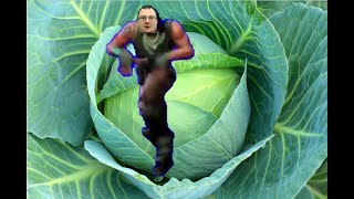 Cabbages and Greens Song But Its The Pumpkin Meme Whats your favourite vegetable [upl. by Neerual]