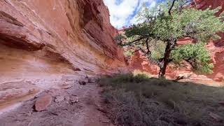 capitolreef sulfur springs waterfall hiking [upl. by Dyna134]