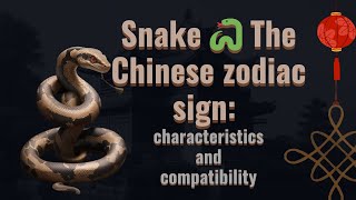 Snake 🐍 the chinese zodiac sign🪧🌒 characteristics and compatibility [upl. by Jule498]