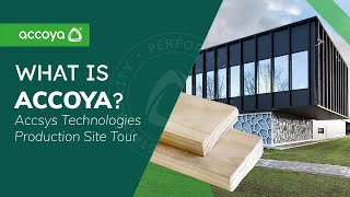 What is Accoya Sustainable Wood  Accsys Technologies Site Tour [upl. by Whall]