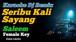 Karaoke Dj Seribu Kali Sayang Saleem Female Key [upl. by Giarg111]