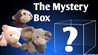 SLL Movie The Mystery Box [upl. by Lirrehs]