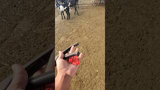 Tagging methodgoat farming bakra  businessyoutubeshorts viralvideo [upl. by Ecinrahs]