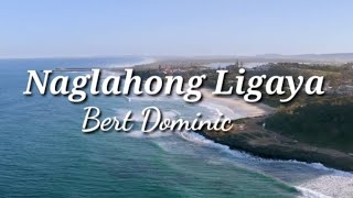 Naglahong Ligaya by Bert Dominic l Sing Along Karaoke [upl. by Natalie613]