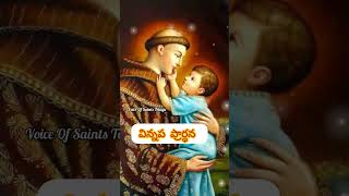 పునీత అంతోనీ వారికి విన్నప ప్రార్థన ytshorts stanthonyofpadua miracles prayer voiceofsaints [upl. by Ivey960]