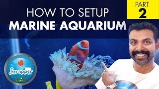 Part 2  Setup Marine Aquarium  Salt Water Fish Tank for Beginners [upl. by Adnahsat663]