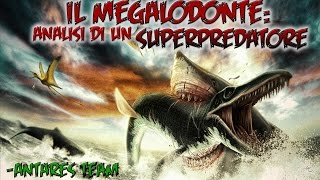 Il Megalodonte Analisi di un Superpredatore [upl. by Lebezej]