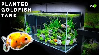 How To Planted Goldfish Aquarium Tutorial  The Ranchu Crew [upl. by Tirrell]