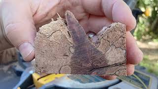 Make Pen Blanks From Heavily Spalted She Oak [upl. by Rayle]