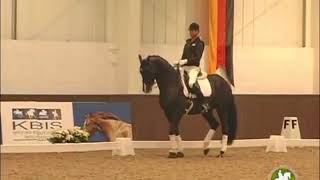 Jean Bemelmans Coaches Carl Hester [upl. by Eecram]