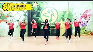 DjMinang RemixAyamDenLapeh  Zumba  Choroe Zin Liandra [upl. by Llesirg]