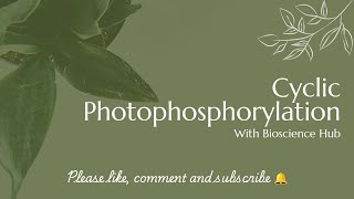 Cyclic Photophosphorylation [upl. by Nappy]