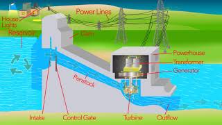 How a Hydro Electric Dam Works [upl. by Aggie]