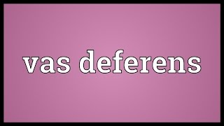 Vas deferens Meaning [upl. by Eile]