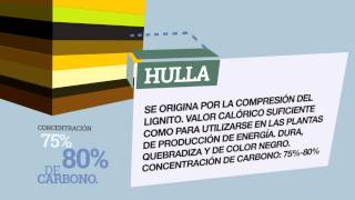 El carbón Cómo se forma Qué es [upl. by Pincas]