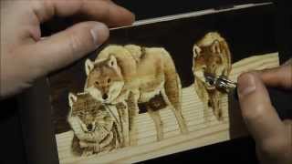 Pyrography project 45 [upl. by Yks]