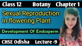 Development Of Endosperm Sexual Reproduction In Flowering Plant Lecture 9 CHSE Odisha [upl. by Robb274]