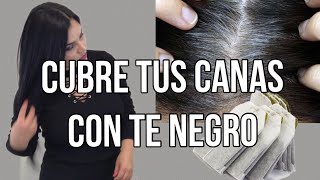 Poderoso Tinte natural para Teñir el cabello sin maltratarlo  aprende a prepararlo [upl. by Jessi]