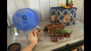 EVERYTHING You Need For A Pet Hedgehog [upl. by Dnalyram508]